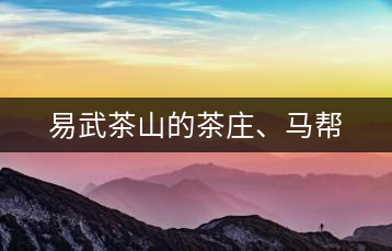 易武茶山的茶莊、馬幫