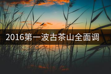 2016第一波古茶山全面調研第四站——臨滄·大雪山、小戶賽