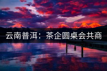 云南普洱:茶企圓桌會(huì)共商“現(xiàn)在·未來