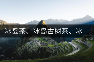冰島茶、冰島古樹茶、冰島茶區(qū)茶、冰島茶區(qū)古樹茶