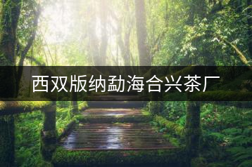 西雙版納勐海合興茶廠