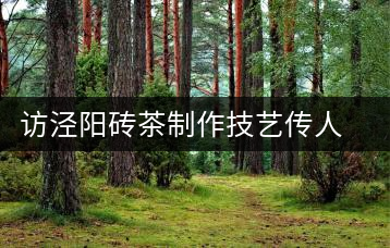 訪涇陽磚茶制作技藝傳人、陜西省非遺傳承人賈根社