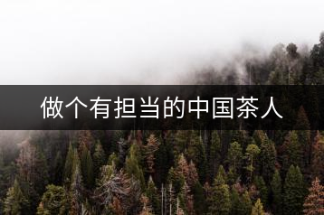 做個有擔(dān)當(dāng)?shù)闹袊枞? decoding=