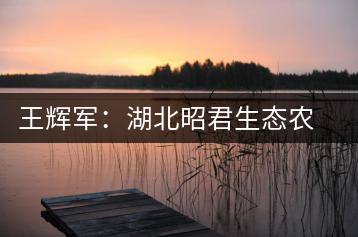 王輝軍:湖北昭君生態(tài)農(nóng)業(yè)有限公司董事長