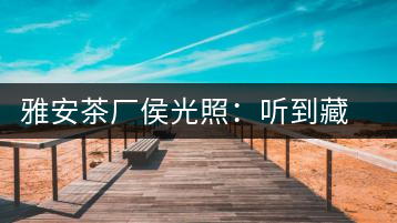 雅安茶廠侯光照:聽到藏茶時(shí)代的腳步聲