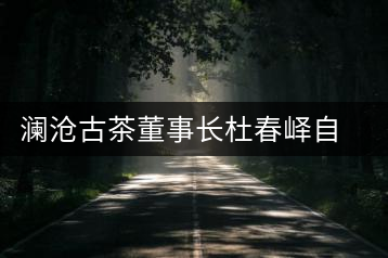 瀾滄古茶董事長杜春嶧自傳