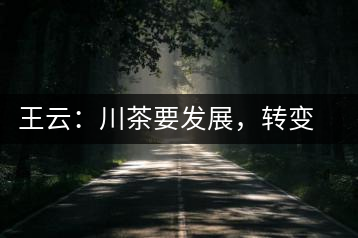 王云：川茶要發(fā)展，轉(zhuǎn)變思想是關(guān)鍵