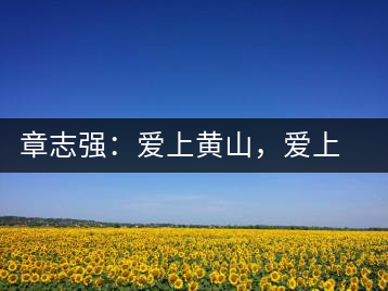 章志強(qiáng)：愛上黃山，愛上黃山的茶