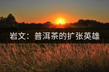 巖文:普洱茶的擴張英雄