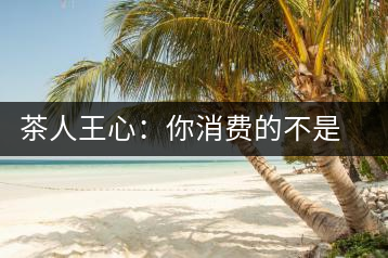 茶人王心：你消費的不是茶，是我