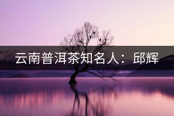 云南普洱茶知名人:邱輝