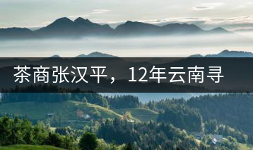 茶商張漢平，12年云南尋茶路