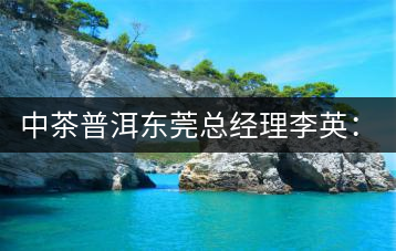 中茶普洱東莞總經(jīng)理李英：做茶應(yīng)該“心思簡(jiǎn)靜”