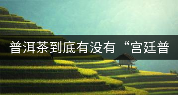 普洱茶到底有沒有“宮廷普洱”一說？它到底是什么？