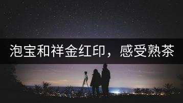 泡寶和祥金紅印，感受熟茶之美。