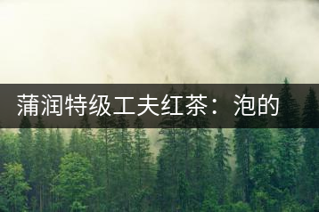 蒲潤(rùn)特級(jí)工夫紅茶：泡的方便，喝的舒適