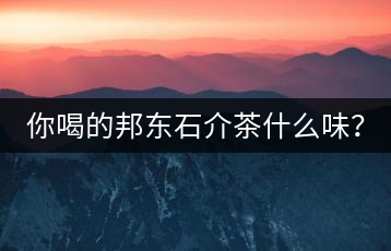 你喝的邦東石介茶什么味？