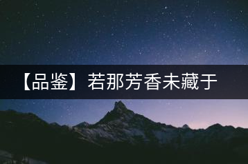 【品鑒】若那芳香未藏于樟野，怎會這般獨具韻味？