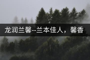 龍潤蘭馨–蘭本佳人，馨香高雅