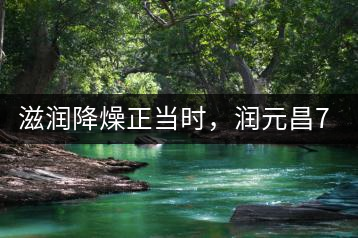 滋潤降燥正當(dāng)時，潤元昌701野生古樹紅茶驚鴻再現(xiàn)