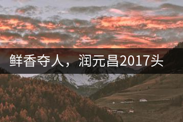 鮮香奪人，潤(rùn)元昌2017頭采小青柑即將上市