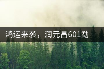 鴻運來襲，潤元昌601勐海紅韻熟茶即將上市