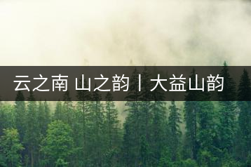 云之南 山之韻丨大益山韻，“韻”味傳奇之山韻歸來