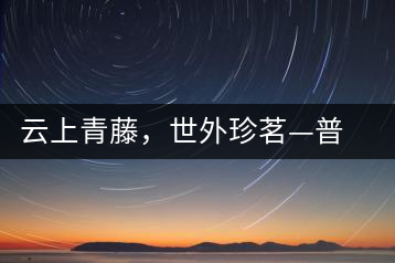 云上青藤，世外珍茗—普秀百年藤條茶即將上市