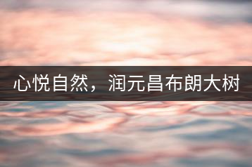 心悅自然，潤(rùn)元昌布朗大樹(shù)標(biāo)桿601千山悅即將上市