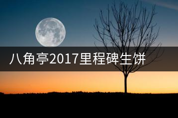 八角亭2017里程碑生餅，擁抱半個世紀(jì)的情懷