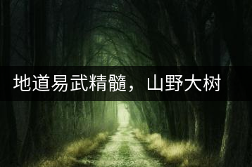 地道易武精髓，山野大樹(shù)珍品—普秀易武生態(tài)喬木圓茶即將上市