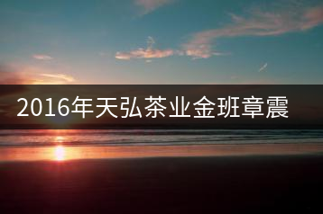 2016年天弘茶業(yè)金班章震撼上市！