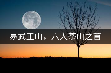 易武正山，六大茶山之首