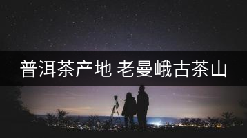 普洱茶產(chǎn)地 老曼峨古茶山