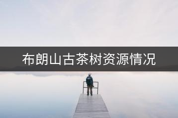 布朗山古茶樹資源情況