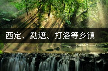 西定、勐遮、打洛等鄉(xiāng)鎮(zhèn)古茶樹資源