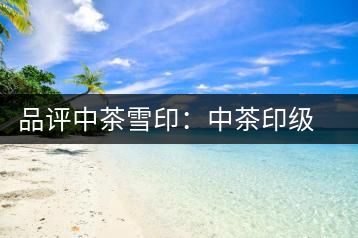 品評中茶雪?。褐胁栌〖壊璧慕?jīng)典傳承
