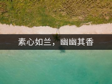 素心如蘭，幽幽其香