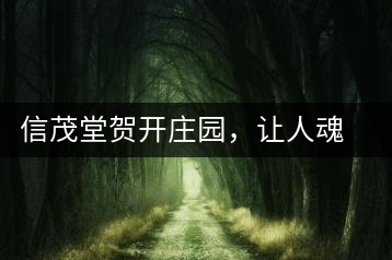 信茂堂賀開莊園，讓人魂?duì)繅衾@的名山古樹茶