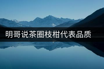 明哥說(shuō)茶圈枝柑代表品質(zhì)高點(diǎn)，是玩家級(jí)的產(chǎn)品