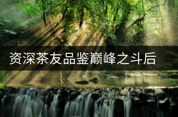 資深茶友品鑒巔峰之斗后的感受