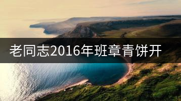 老同志2016年班章青餅開湯
