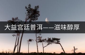 大益宮廷普洱——滋味醇厚，陳香濃郁