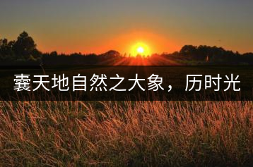 囊天地自然之大象，歷時(shí)光十載流轉(zhuǎn)-皇茶一號