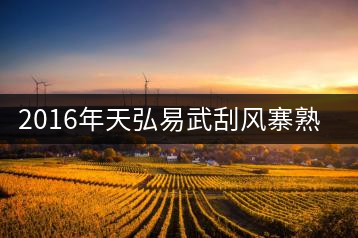 2016年天弘易武刮風(fēng)寨熟茶一泡耐人尋味！