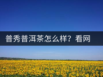 普秀普洱茶怎么樣？看網(wǎng)友精彩回答