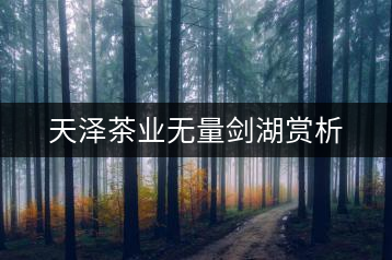 天澤茶業(yè)無(wú)量劍湖賞析