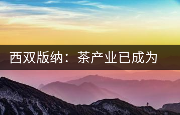 西雙版納:茶產(chǎn)業(yè)已成為茶區(qū)經(jīng)濟的重要支柱產(chǎn)業(yè)