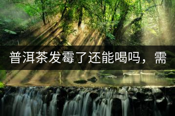 普洱茶發(fā)霉了還能喝嗎，需要怎么處理？