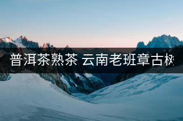 普洱茶熟茶 云南老班章古樹茶金芽特級熟茶357g大餅茶葉 久樽正品